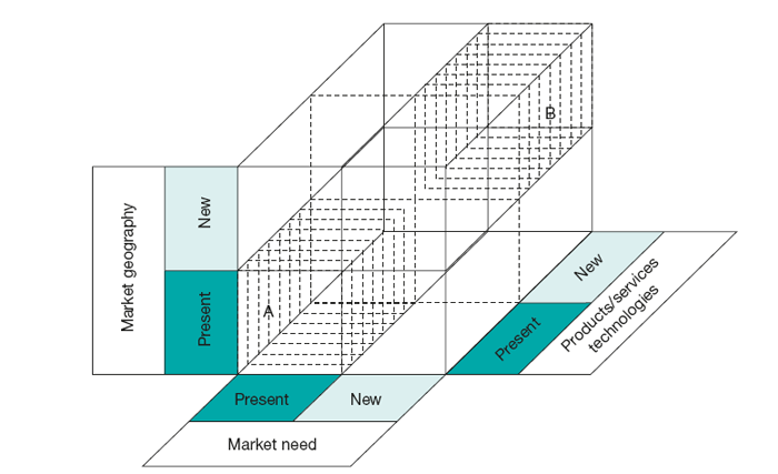 Ansoff’s dimensions of the geographic growth vector: market need; products/services and technologies; and market geography