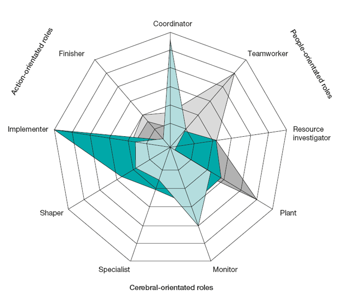 Belbin’s complementary roles plotted